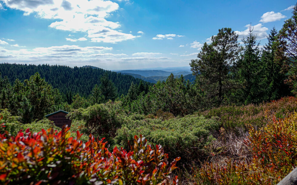 Rennsteiggarten Oberhof Pressebild