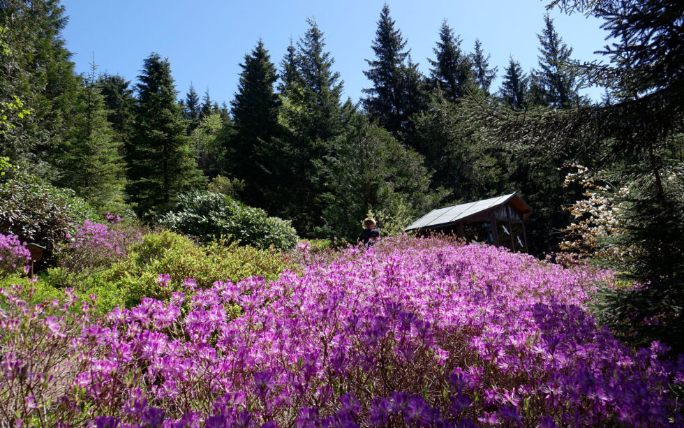 Rennsteiggarten Oberhof Pressebild
