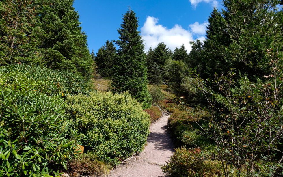 Rennsteiggarten Oberhof Pressebild